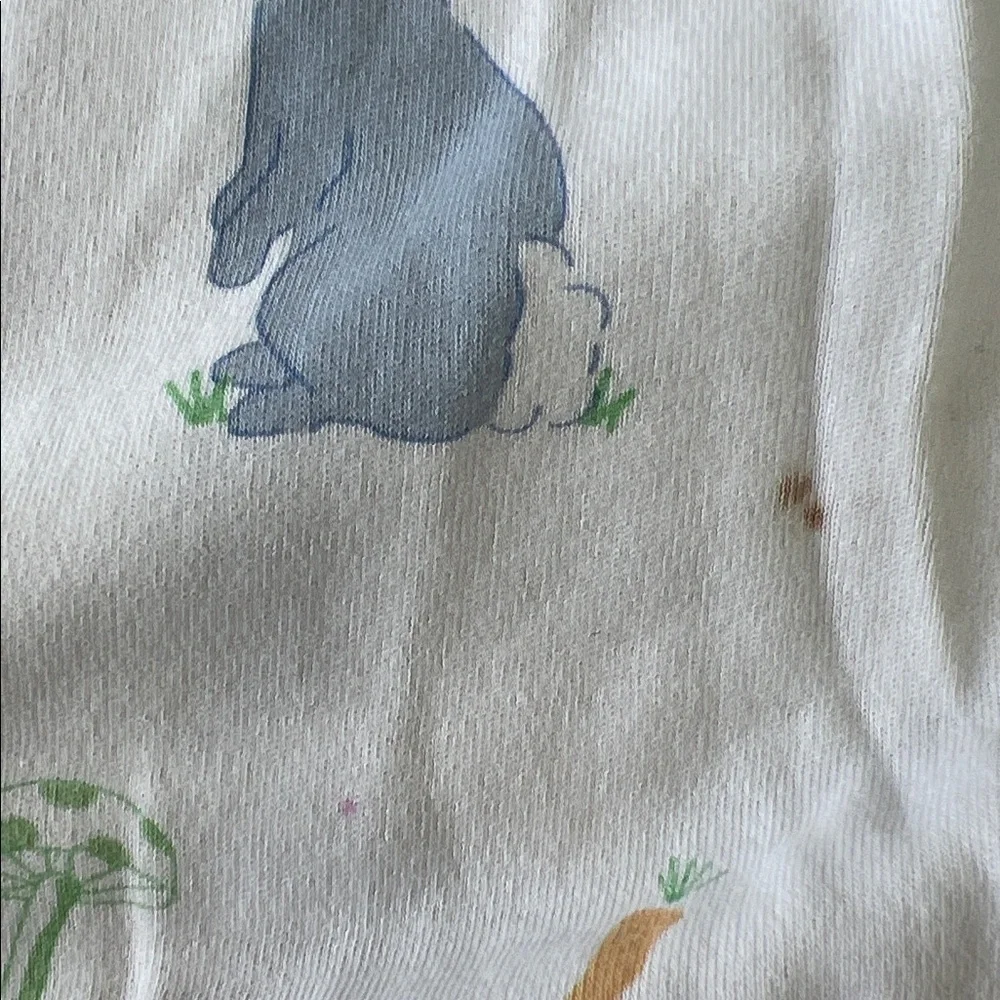 Little English Easter spring animal pajama set kids 6 bunny ducks long sleeve